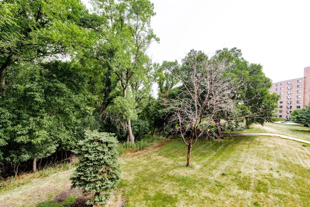 105 3rd Street #201 Moorhead, MN 56560