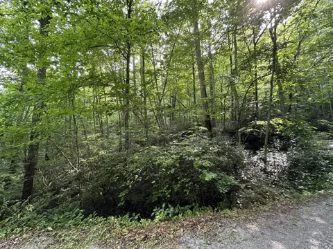 Hemlock Falls Rd