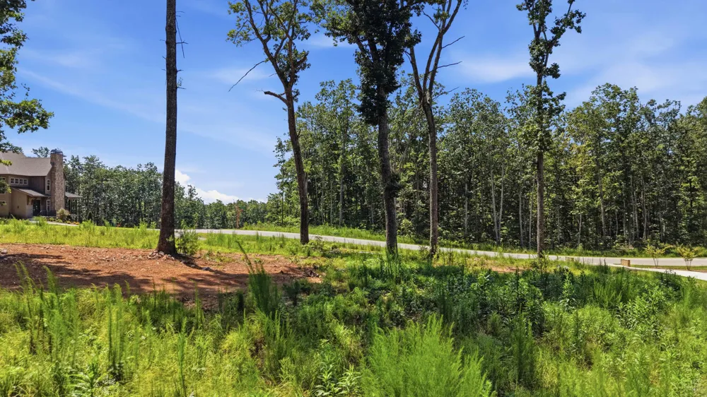 8581 Bear Paw Trail Signal Mountain, TN 37377