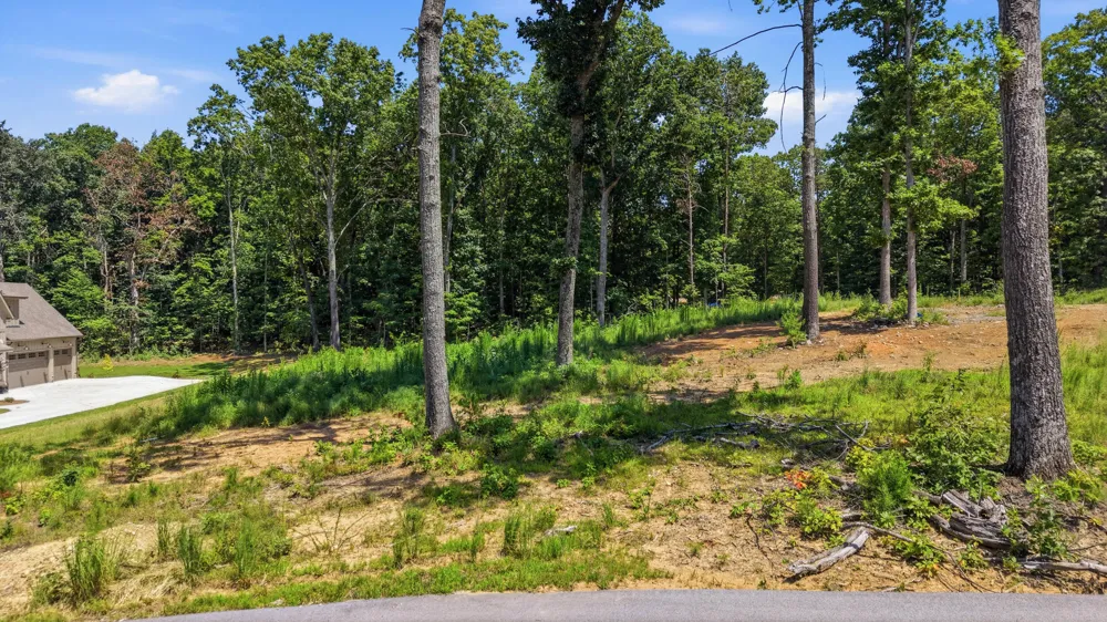 8581 Bear Paw Trail Signal Mountain, TN 37377