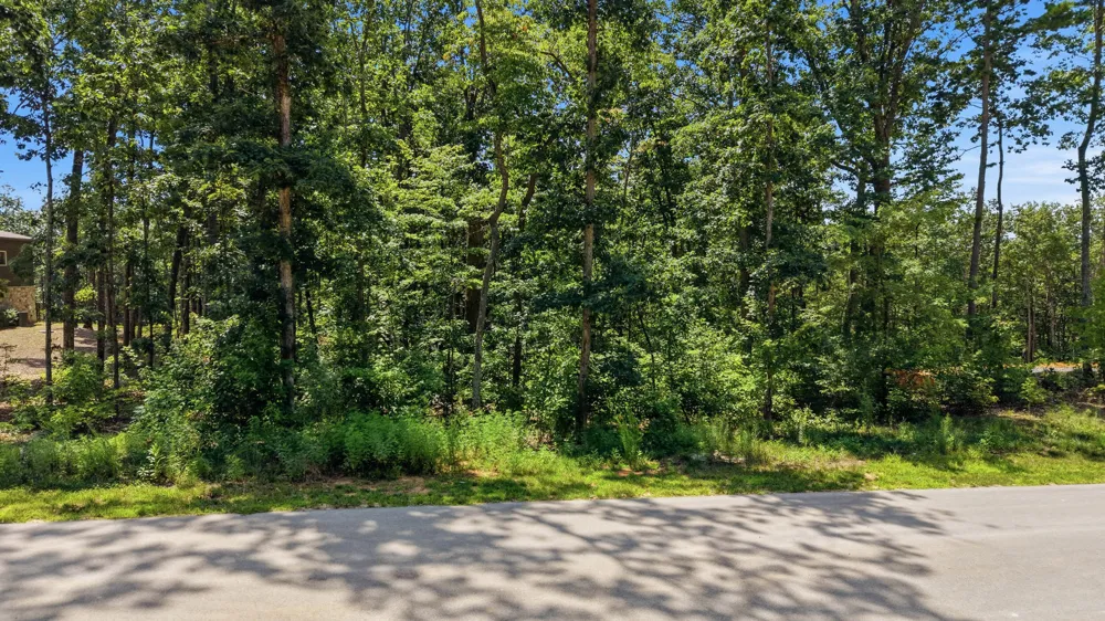8354 Bear Paw Trail Signal Mountain, TN 37377