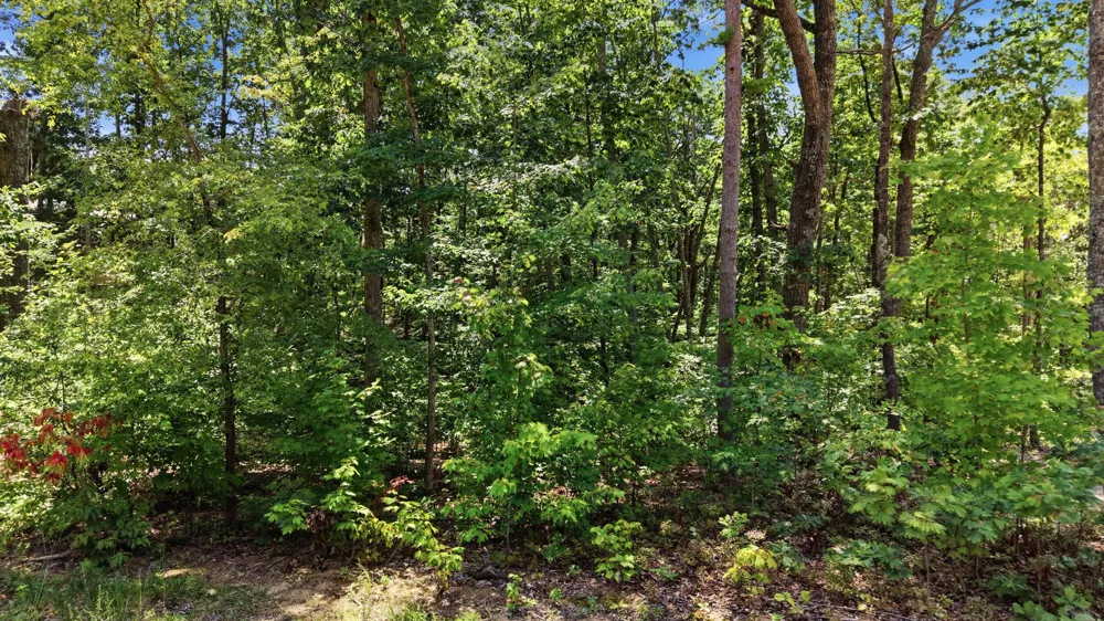 8354 Bear Paw Trail Signal Mountain, TN 37377