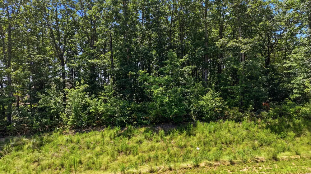 1402 Bent Hickory Road Signal Mountain, TN 37377