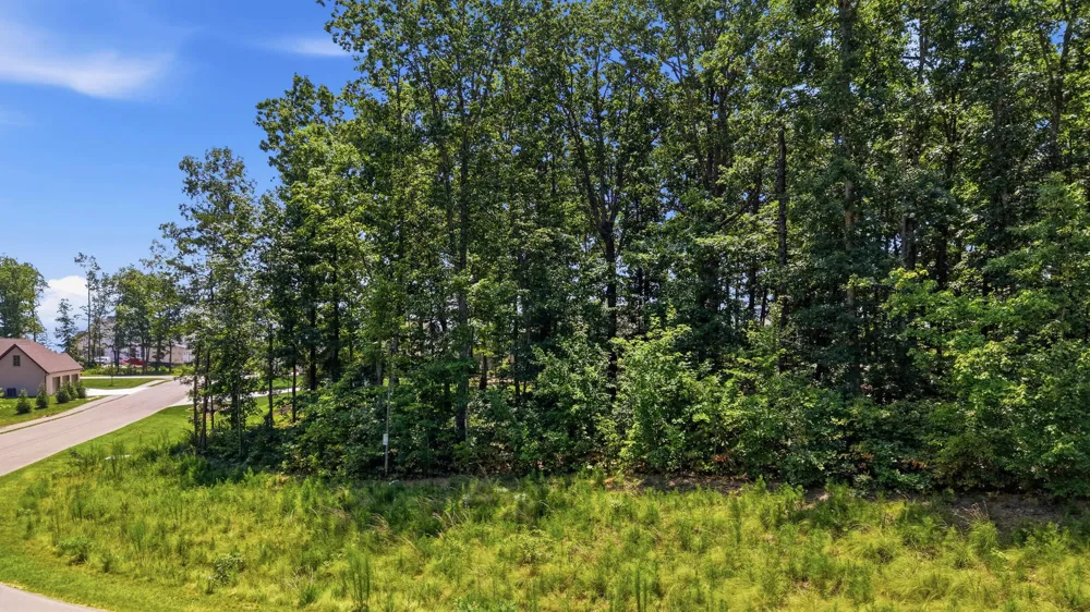 1402 Bent Hickory Road Signal Mountain, TN 37377