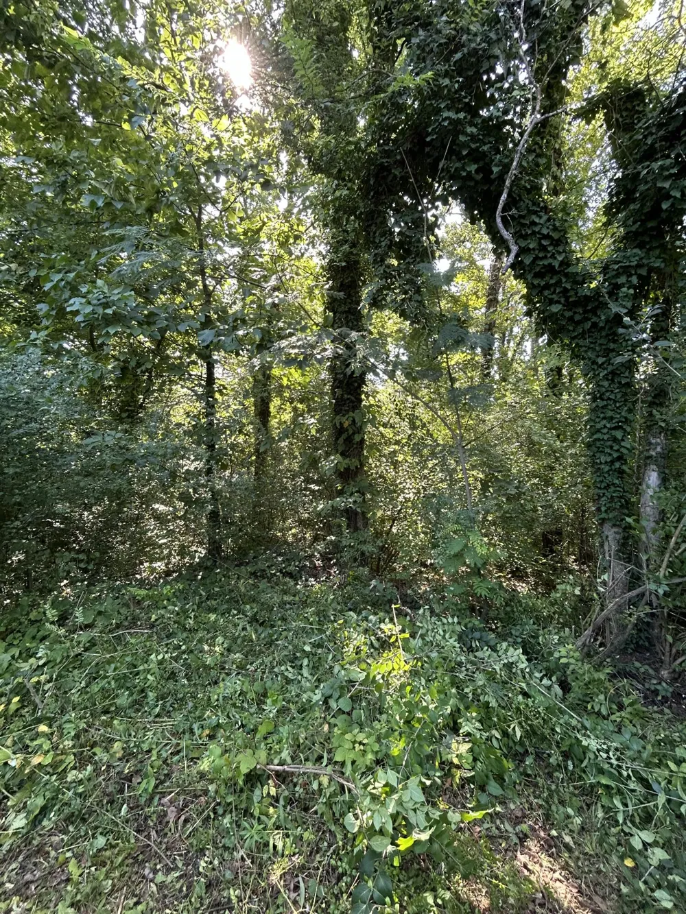 Veterans Way Chattanooga, TN 37411