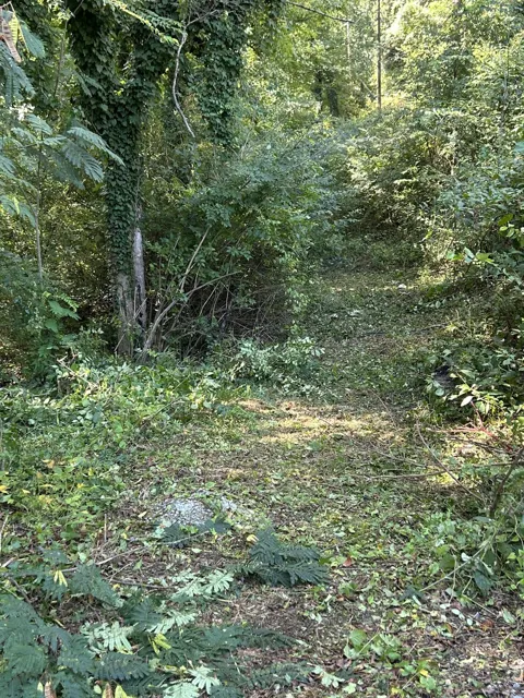 Veterans Way