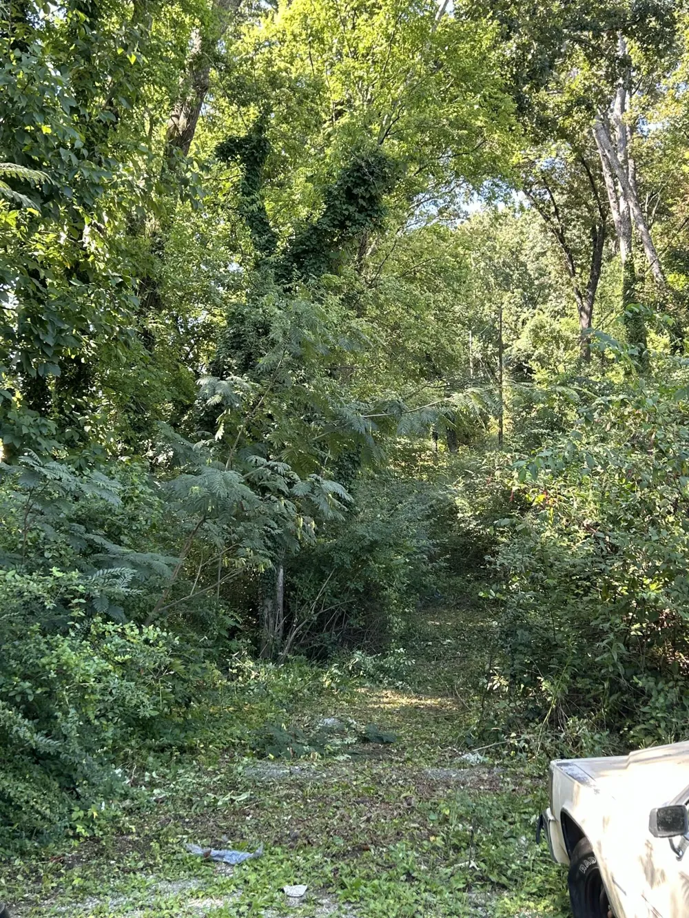 Veterans Way Chattanooga, TN 37411