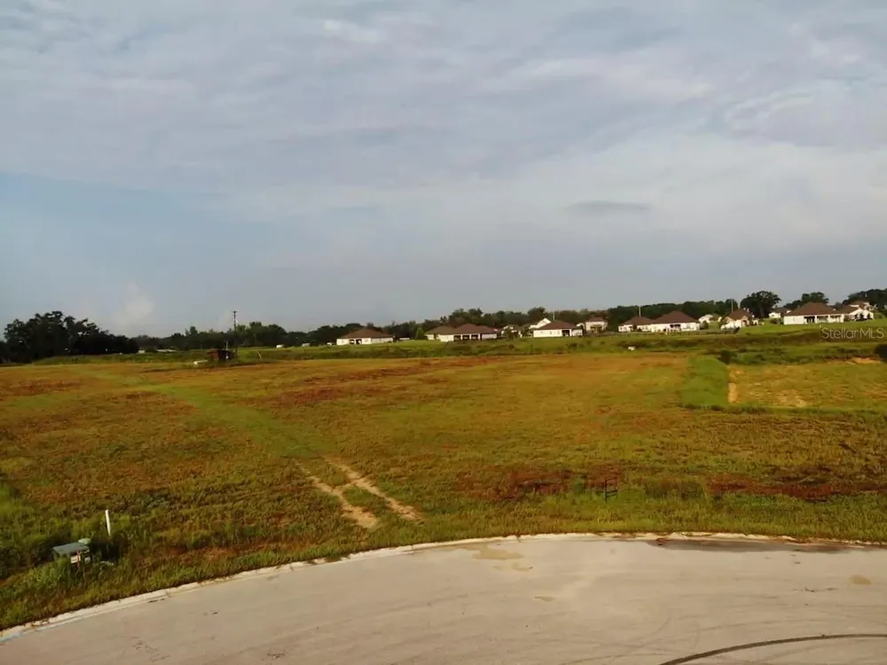 10016 WHITE EGRET DRIVE Thonotosassa, FL 33592