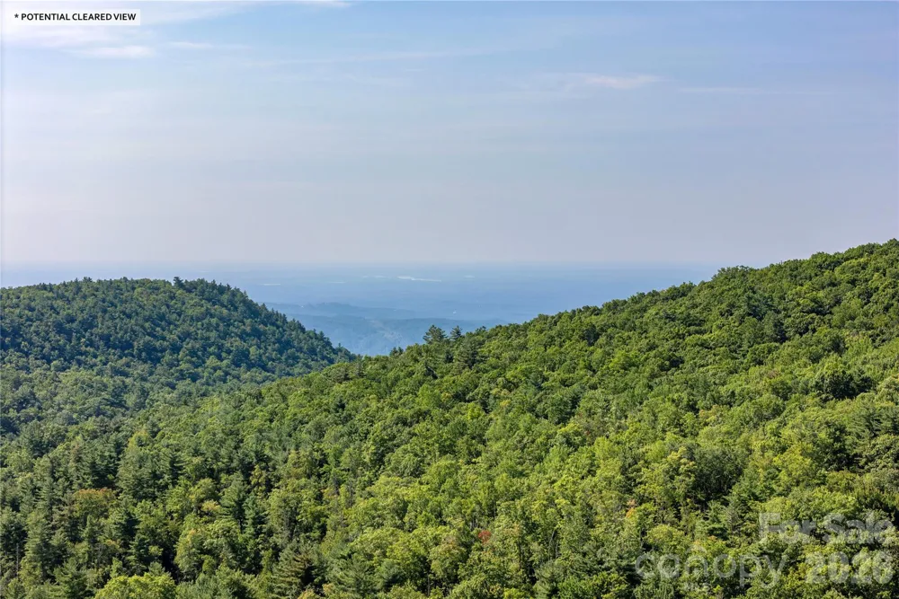 TBD Whitewater Road Sapphire, NC 28774