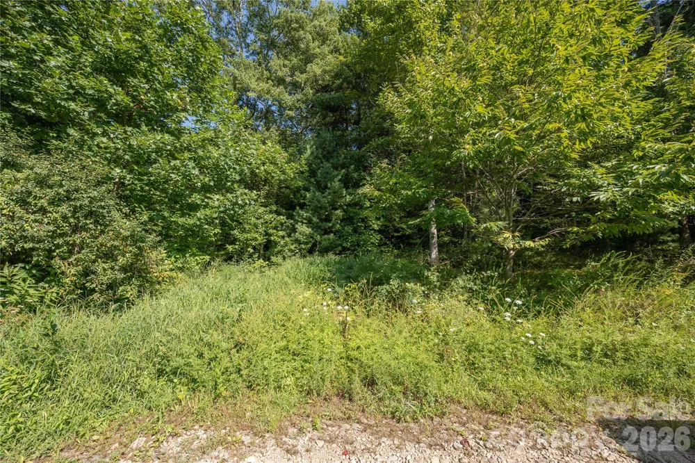 TBD Whitewater Road Sapphire, NC 28774
