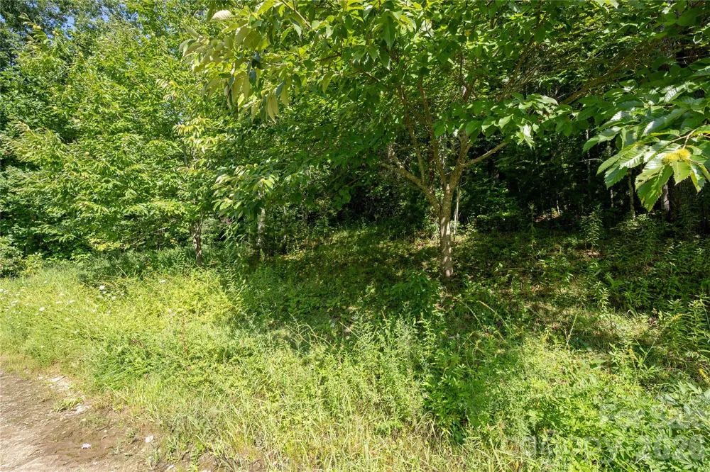 TBD Whitewater Road Sapphire, NC 28774
