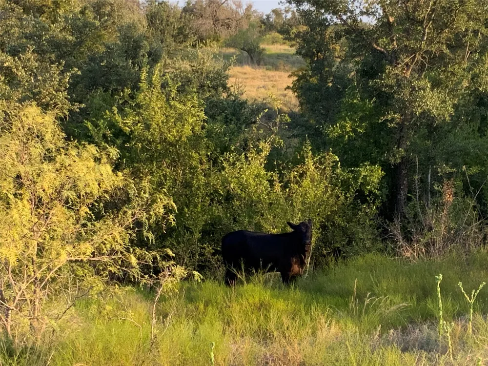 2401 Fm 2486 Gustine, TX 76455