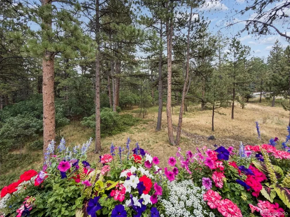 1240 Hoosier Drive Larkspur, CO 80118
