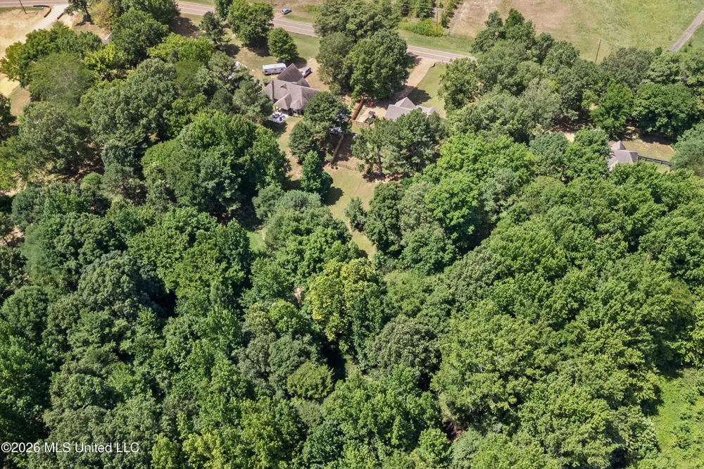 2896 Tulane Road Nesbit, MS 38651
