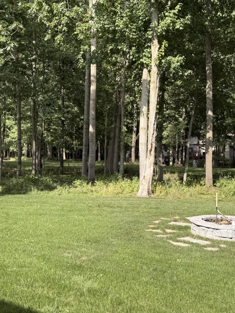 7586 Regency Lane Canadian Lakes, MI 49346