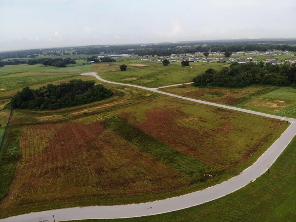 11625 SPOONBILL RUN DRIVE Thonotosassa, FL 33592