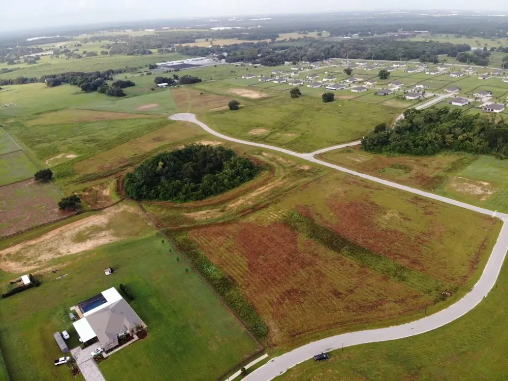 11625 SPOONBILL RUN DRIVE Thonotosassa, FL 33592
