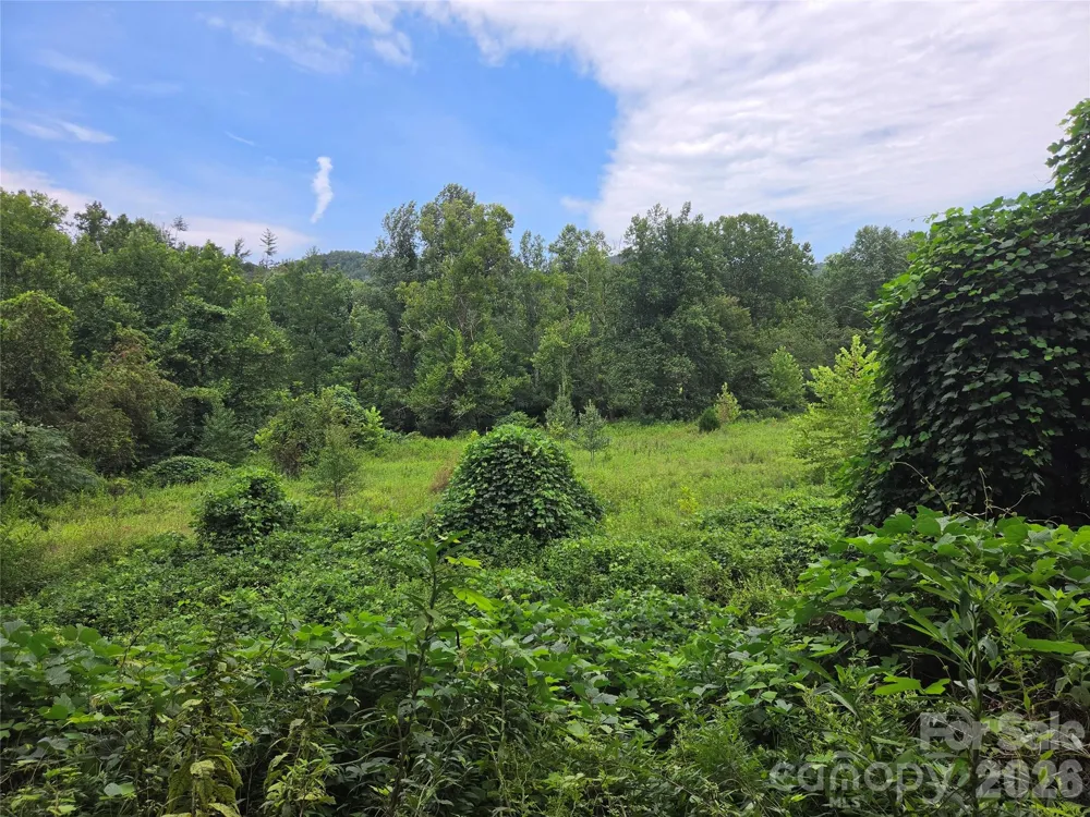 6059 Mount Zion Road Ferguson, NC 28624
