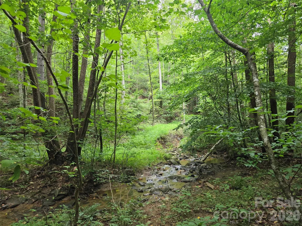 6059 Mount Zion Road Ferguson, NC 28624