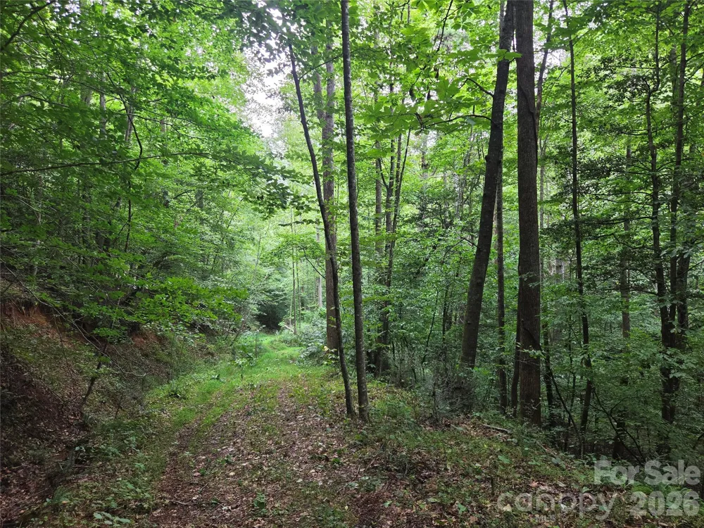 6059 Mount Zion Road Ferguson, NC 28624
