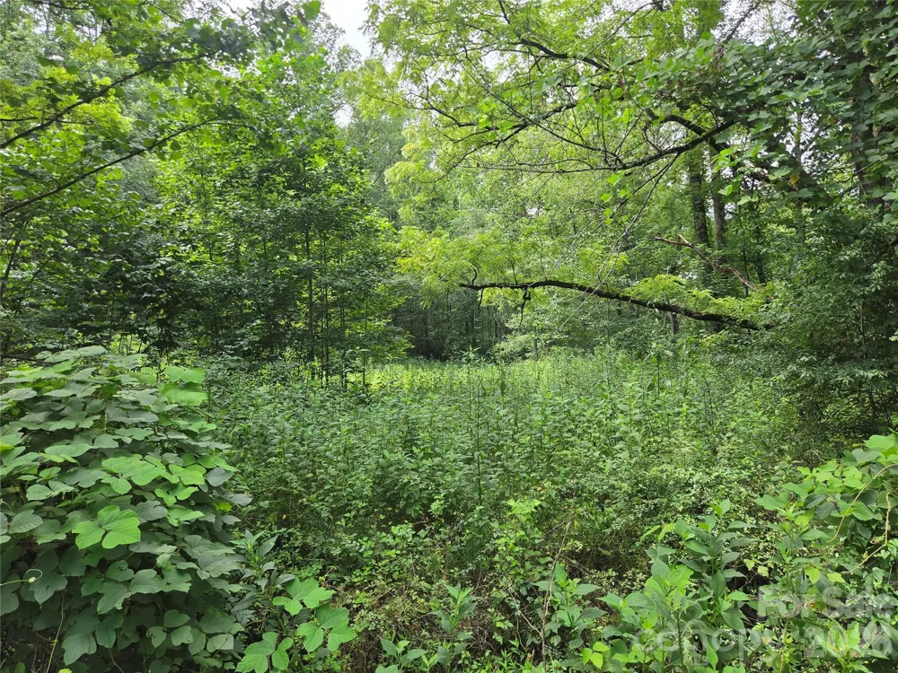 6059 Mount Zion Road Ferguson, NC 28624