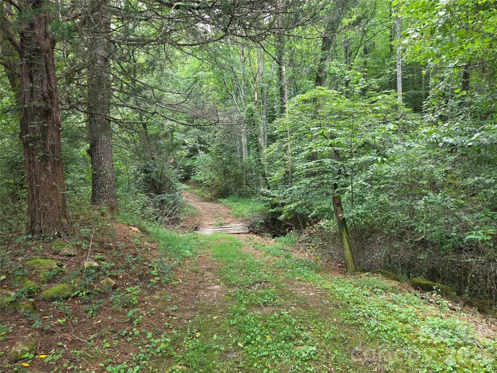 6059 Mount Zion Road Ferguson, NC 28624