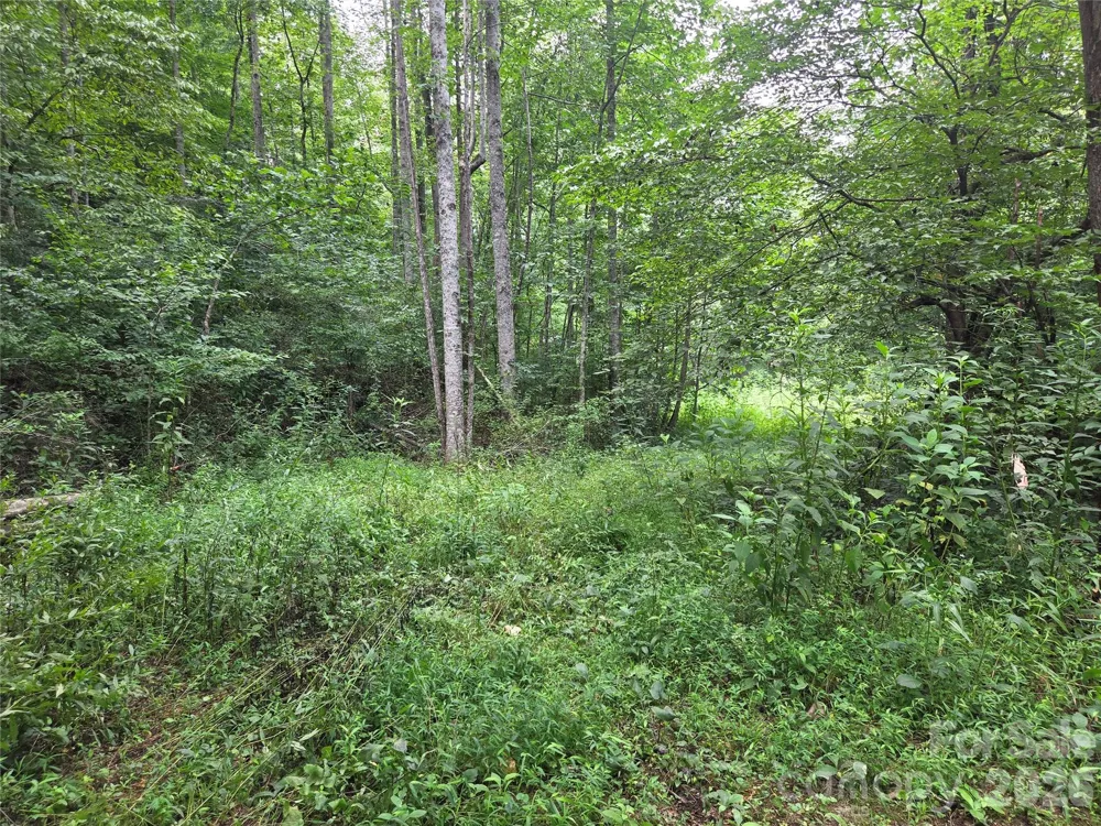 6059 Mount Zion Road Ferguson, NC 28624