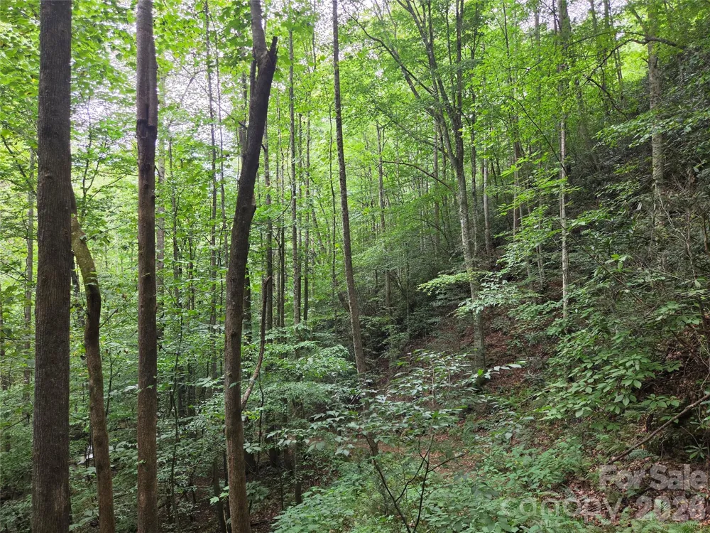 6059 Mount Zion Road Ferguson, NC 28624