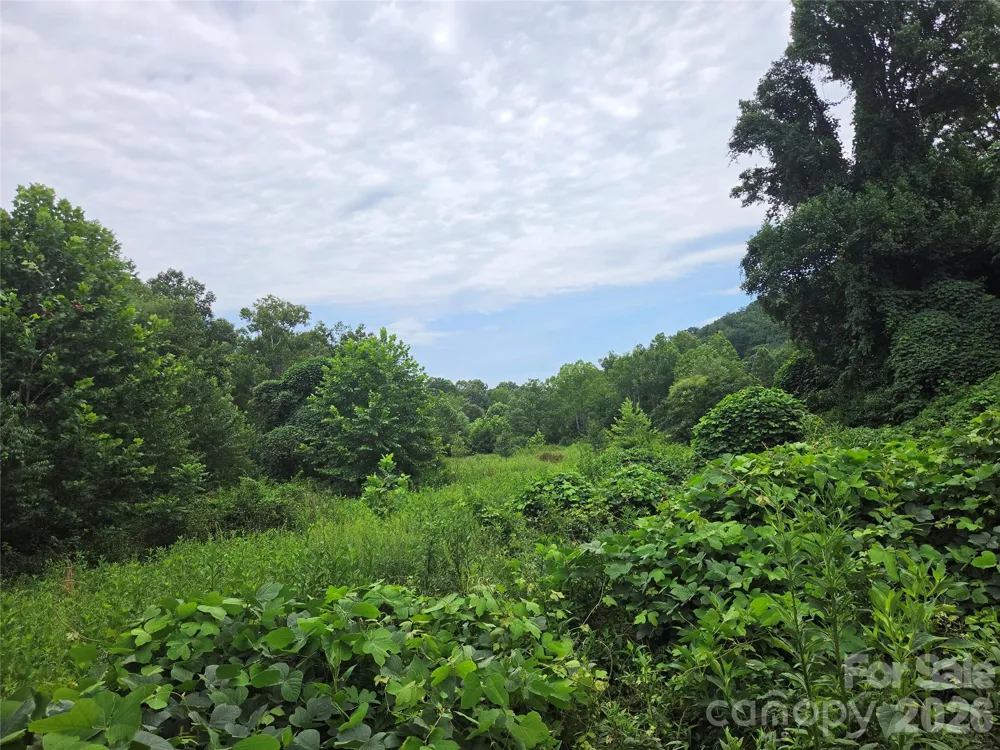 6059 Mount Zion Road Ferguson, NC 28624