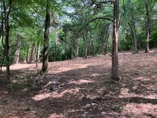 3076 Carters Creek Pk Franklin, TN 37064