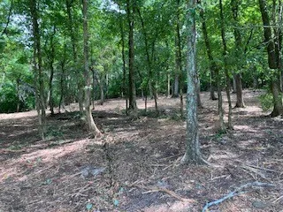 3076 Carters Creek Pk Franklin, TN 37064
