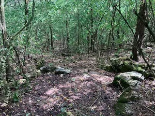 3076 Carters Creek Pk Franklin, TN 37064