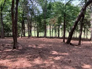 3076 Carters Creek Pk Franklin, TN 37064