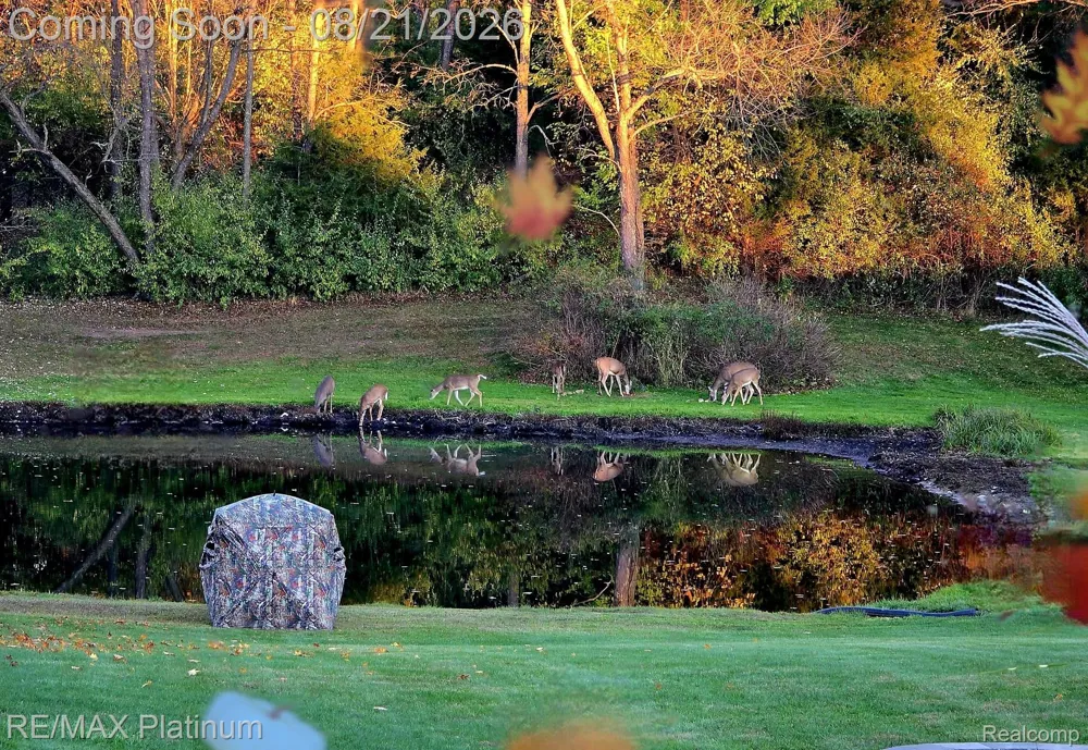 7650 Owosso Road Cohoctah Township, MI 48836