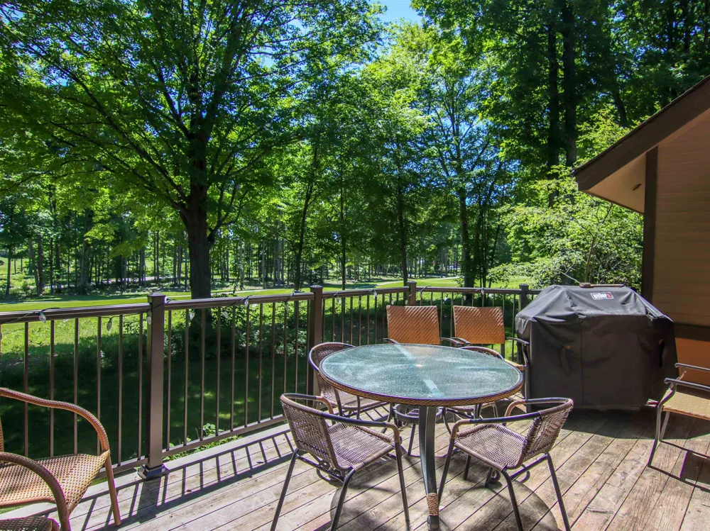 Mountainside Drive Weldon Township, MI 49683