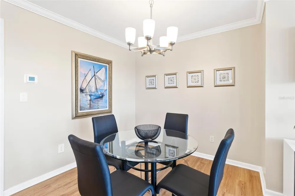 5220 BRITTANY DRIVE S #1309 St Petersburg, FL 33715