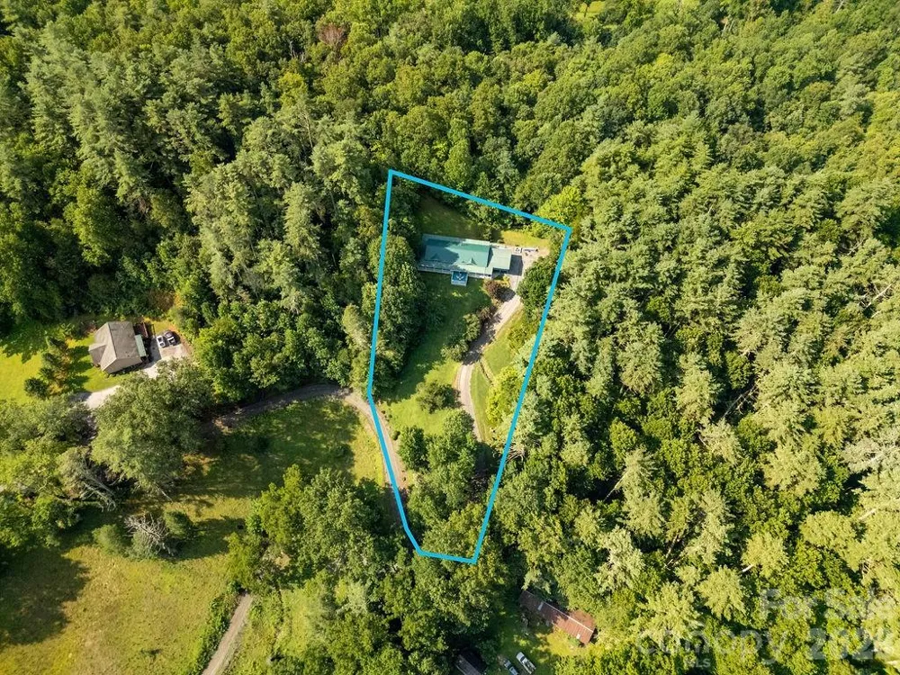98 New Sorrells Estate Brevard, NC 28712