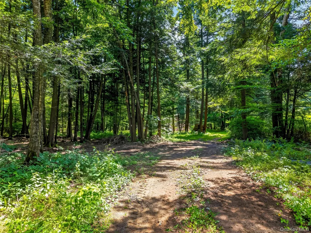 139 Callicoon Center Road Jeffersonville, NY 12748