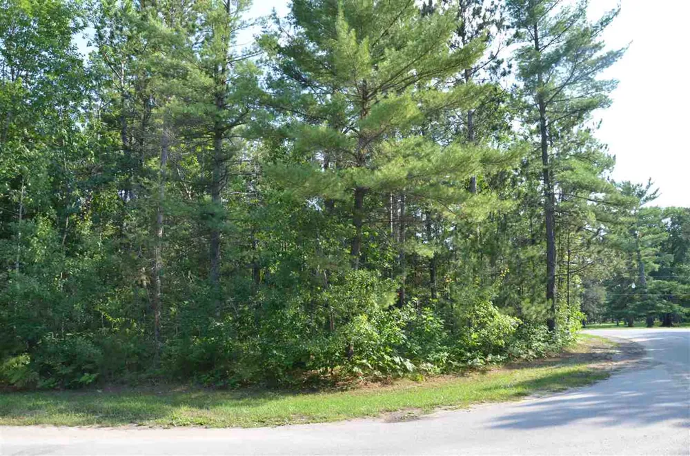 W Log Lake Road Kalkaska Township, MI 49646