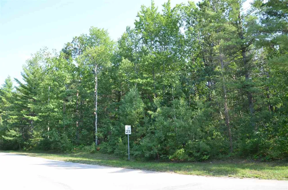 W Log Lake Road Kalkaska Township, MI 49646
