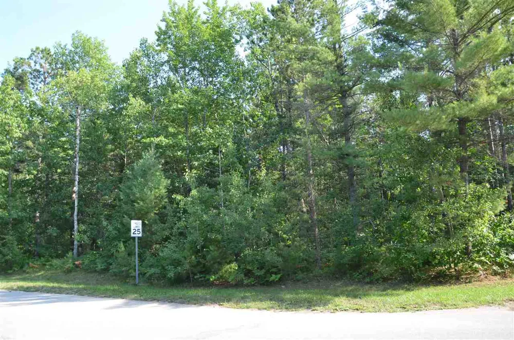 W Log Lake Road Kalkaska Township, MI 49646