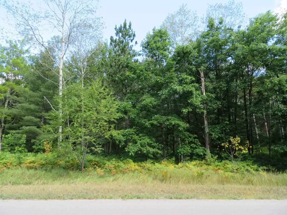 2205 NE Driftwood Kalkaska Township, MI 49646