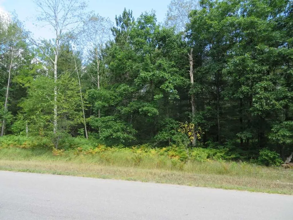 2205 NE Driftwood Kalkaska Township, MI 49646