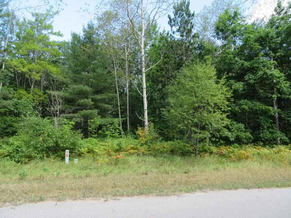 2205 NE Driftwood Kalkaska Township, MI 49646