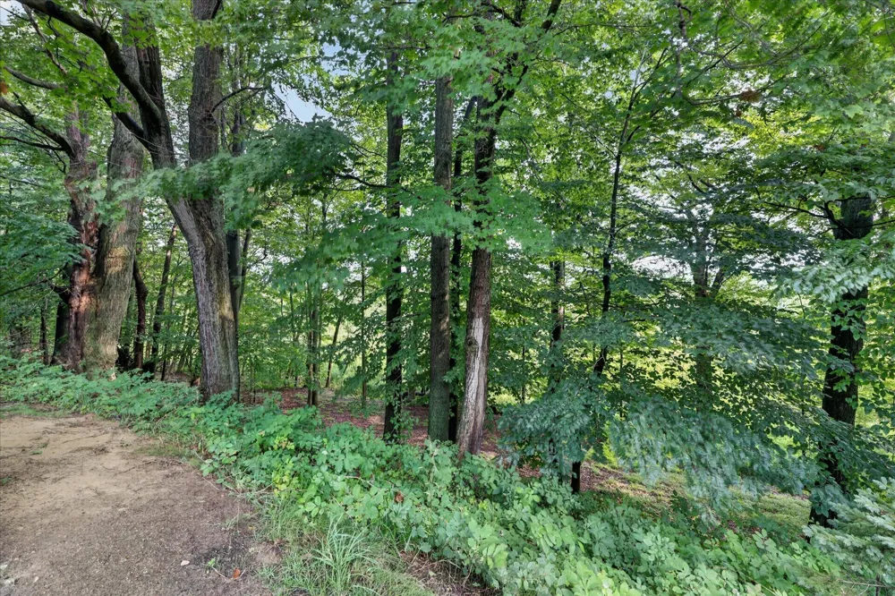70070 2nd Avenue South Haven Charter Township, MI 49090