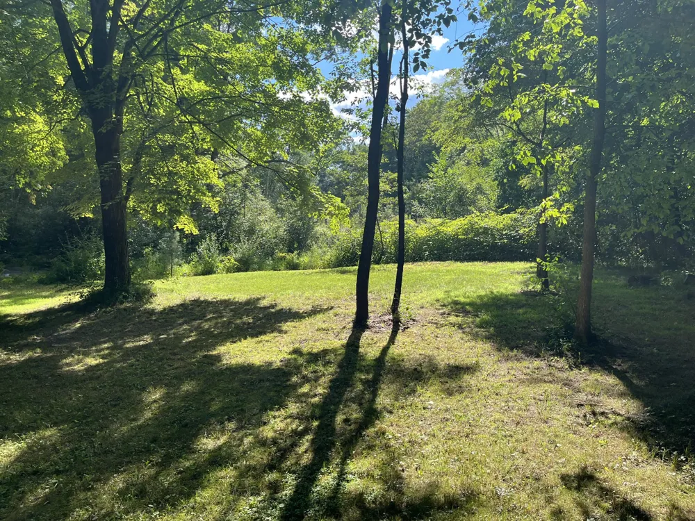 11011 Podunk Avenue NE Oakfield Township, MI 48838