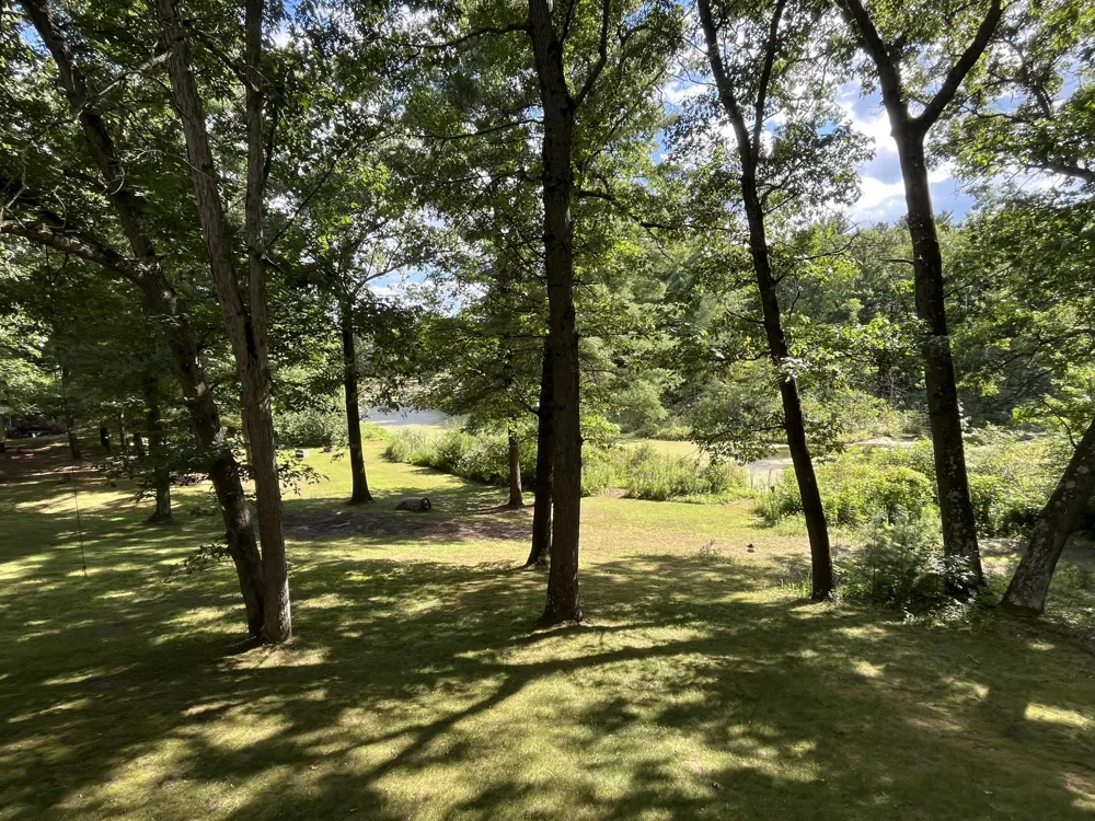 11011 Podunk Avenue NE Oakfield Township, MI 48838