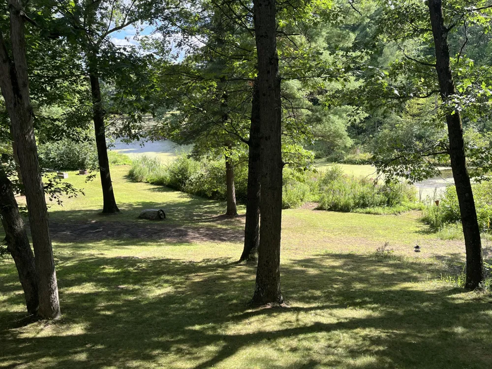 11011 Podunk Avenue NE Oakfield Township, MI 48838