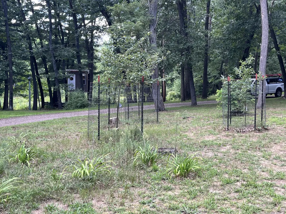 11011 Podunk Avenue NE Oakfield Township, MI 48838