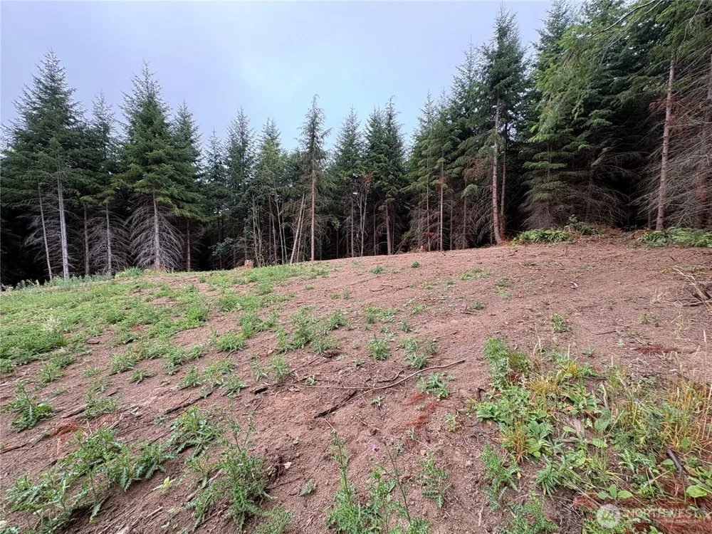 1161 Thimbleberry Drive Castle Rock, WA 98611